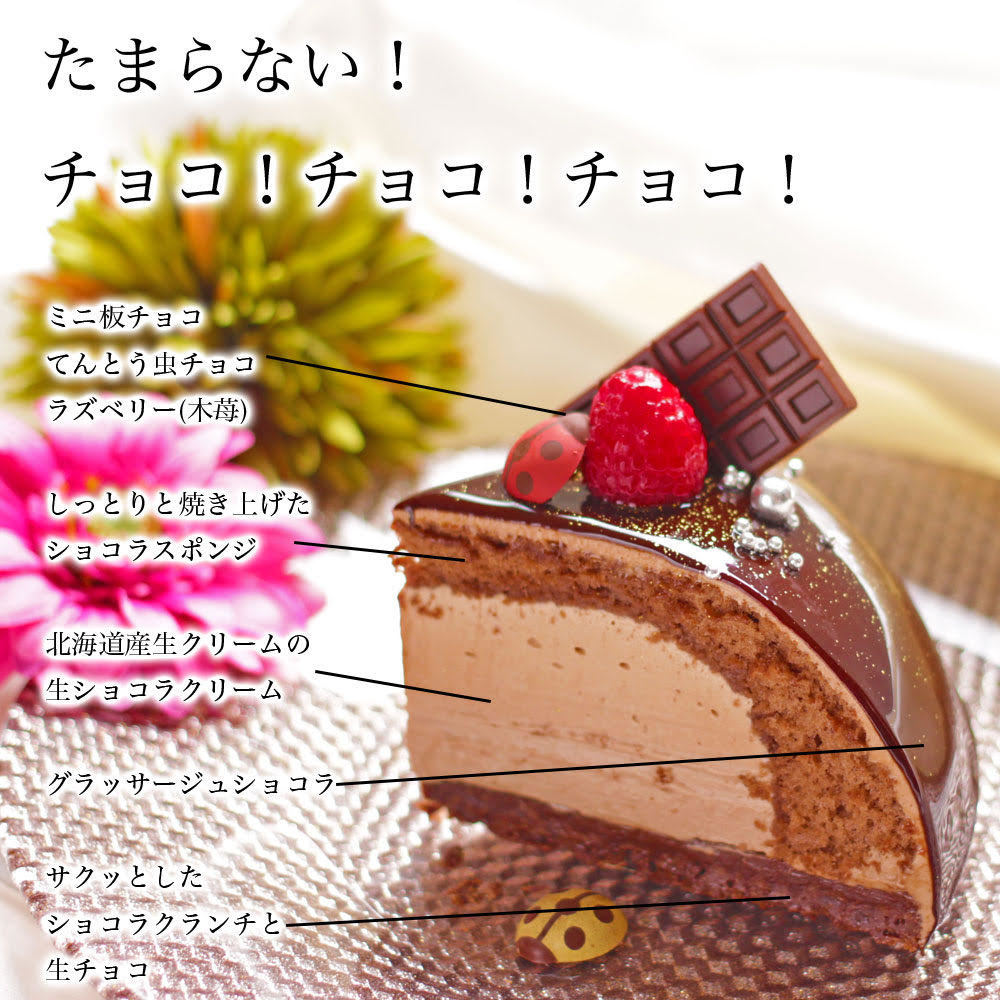 チョコ好きの為のチョコづくしのチョコレートケーキ 甘いクリスマスを ２０１９ デコレーションケーキ クリスマスケーキ 今年人気のクリスマスケーキ ２０１９ ５号サイズ ４ ６人分 ファミリー向け ２０選 予約や早割も